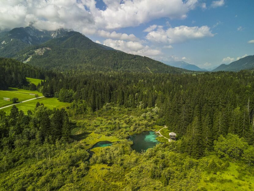 Parco del Triglav