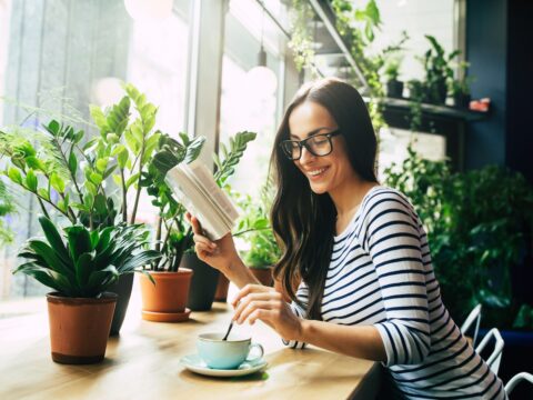 10 piante da interni perfette per l’autunno