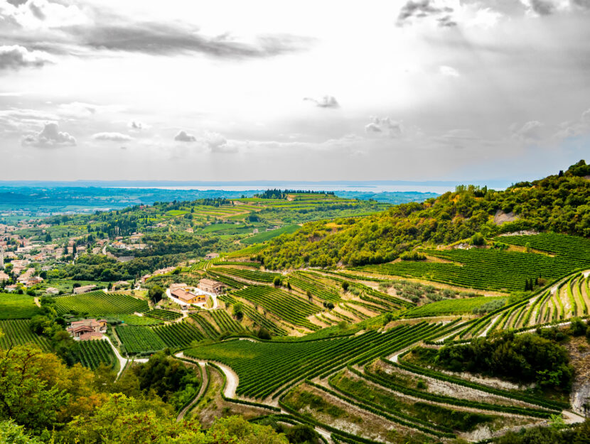 Valpolicella vista da San Giorgio