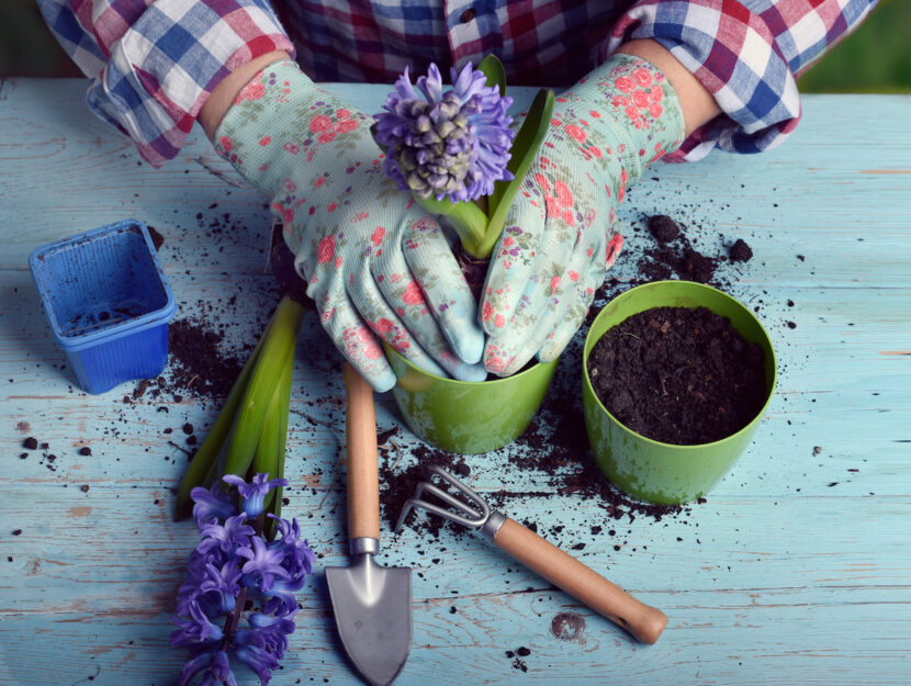 Accessori giardinaggio