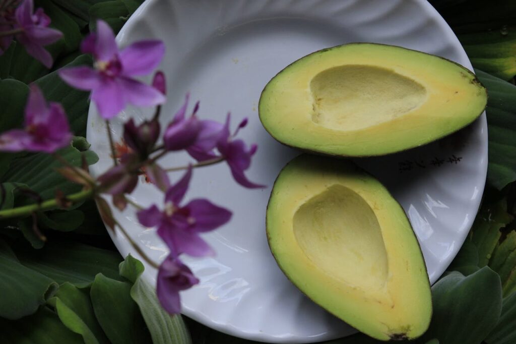 avocado ricette beauty