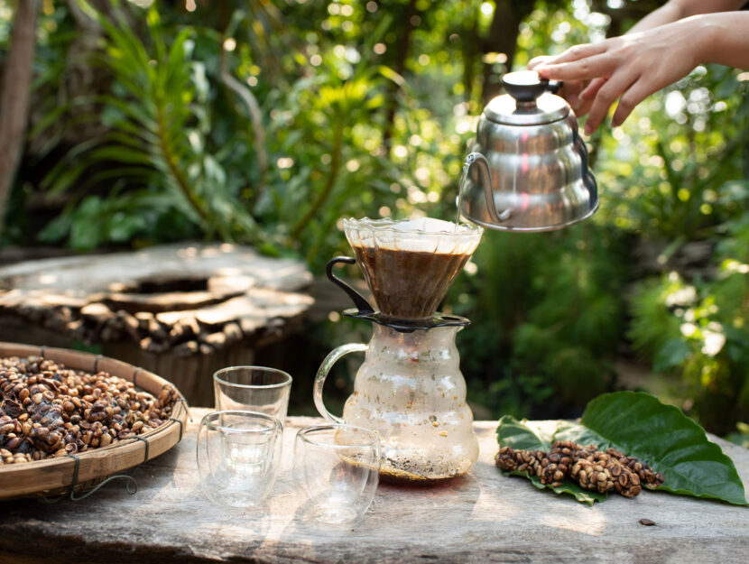 caffè chemex giardino