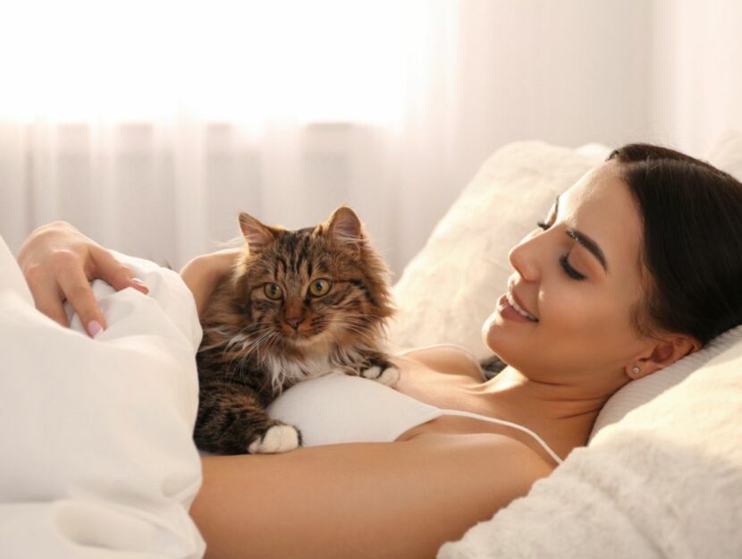 5 cose che piacciono al tuo gatto (e che ti aiutano a legare di più con lui) - Donna Moderna