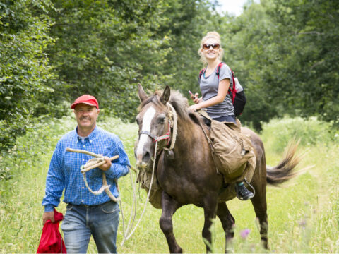 Escursioni a cavallo: dove e come iniziare