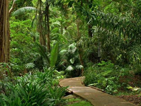 Alla scoperta di flora e fauna in città