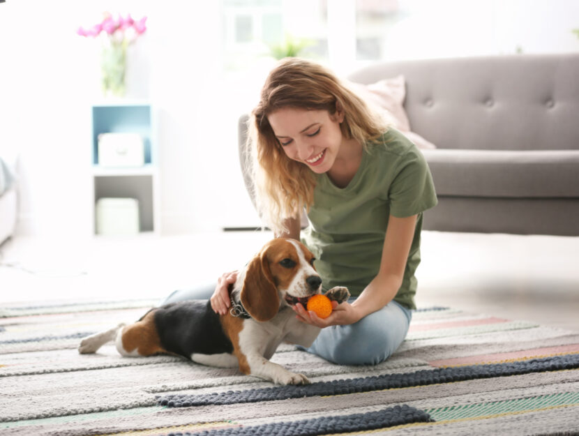 Ragazza gioca con il suo cane