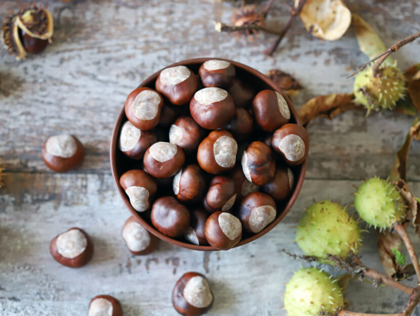 Castagne al liquore