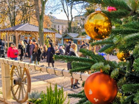 Innamorati di Ginevra a Natale con Noël au Jardin