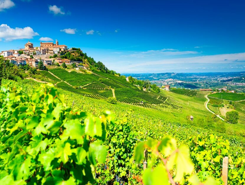Langhe