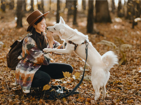 5 attività autunnali che puoi fare con il tuo cane