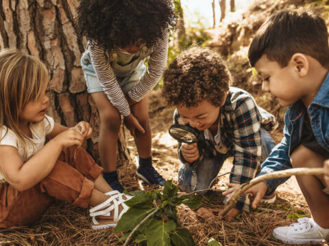 Le aule natura e i benefici di fare lezione all’aria aperta