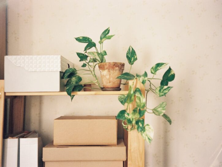 5 idee creative per decorare le scatole