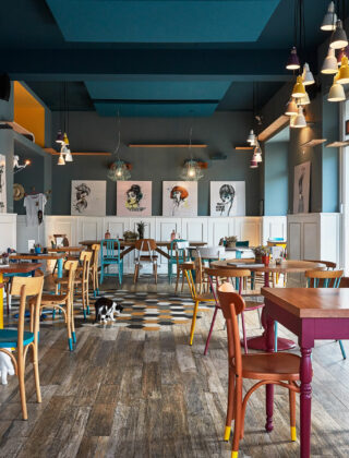 Cat café: i bar dove ad accoglierti c’è un gatto