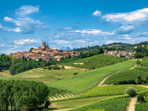 Tour gourmet nel Monferrato, tra colline e vigneti