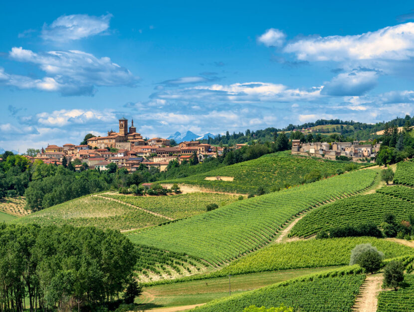 Monferrato colline