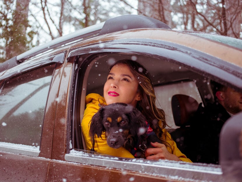 Viaggi invernali col cane: come affrontarli