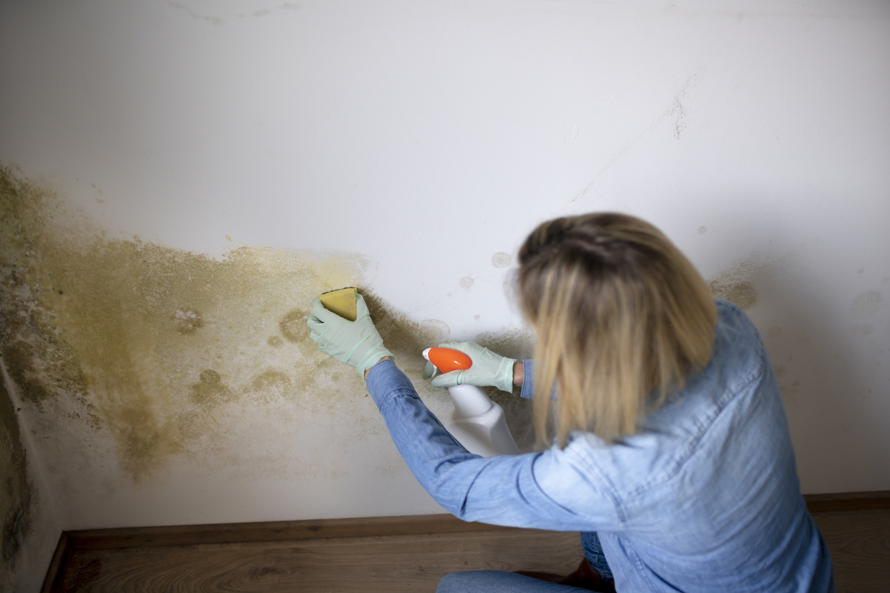 attrezzo per togliere la pittura dai muri