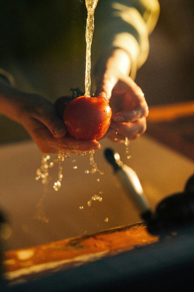 sugo