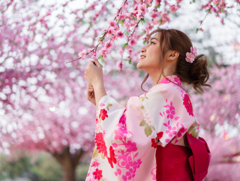 Donna giapponese kimono ciliegi in fiore