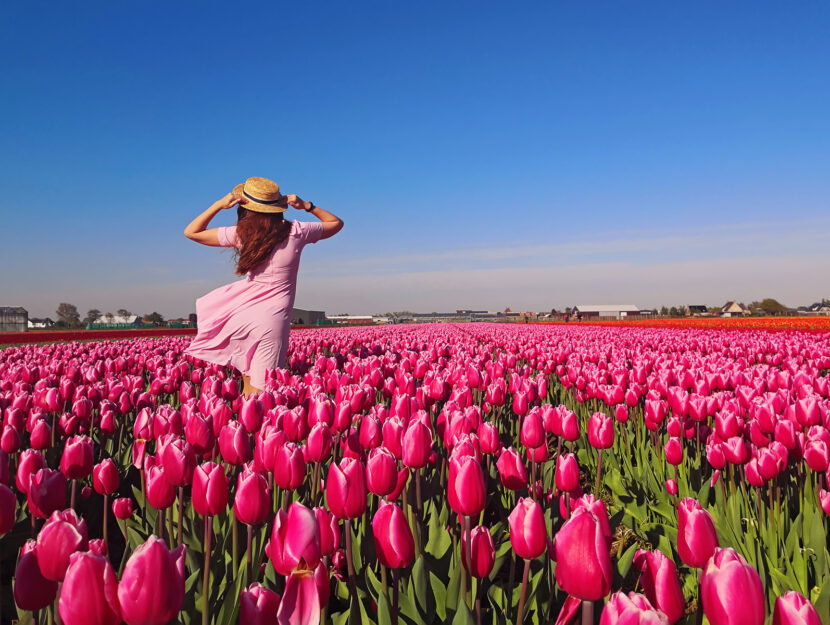 Donna prato tulipani primavera estate
