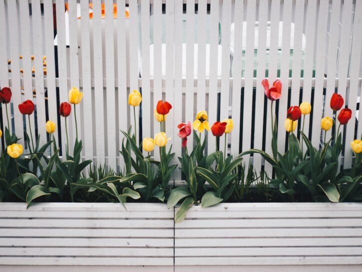 Come creare un recinto per il giardino
