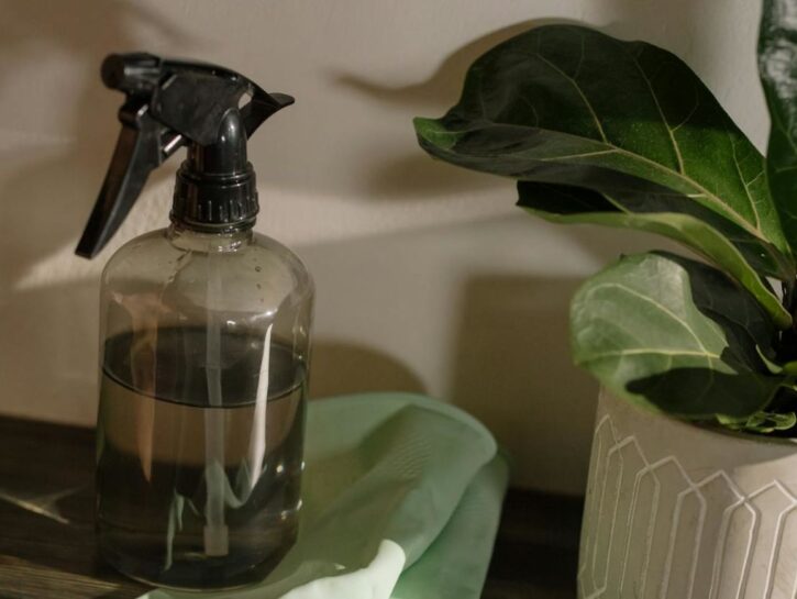 Come creare il pulitore antibatterico alla salvia
