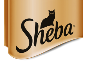 Sponsor