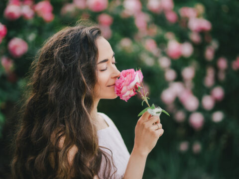 I fiori di maggio e come curare il giardino