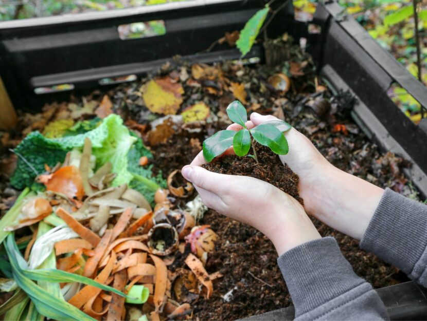 Compostiera con compost