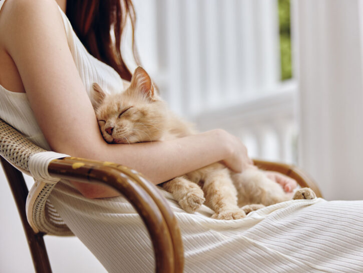 Allergia al pelo dei gatti: come rimediare