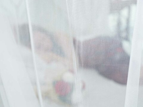 Febbre Dengue, nuovi casi: cos'è e cosa si rischia