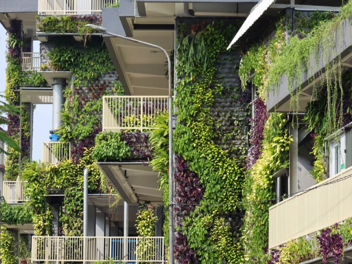 Risparmi fino a 200 kWh con il cappotto verde sulla facciata