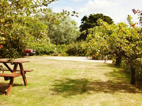 Come realizzare un angolo bar fai da te in giardino