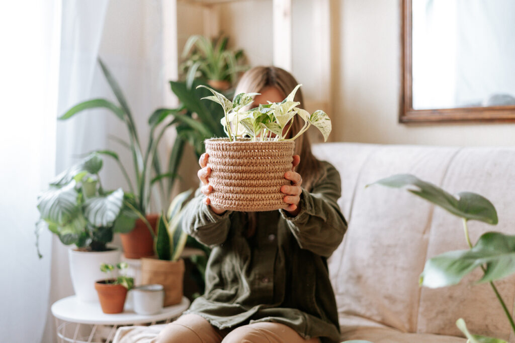 5 piante estive che ti aiutano a rendere più sana l'aria di casa tua