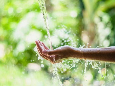 5 modi per ridurre il consumo di acqua durante l'estate