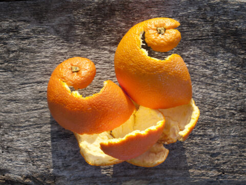 Come poter riutilizzare le bucce di arancia
