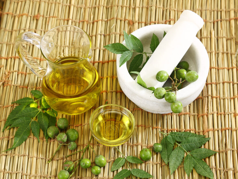 Olio di neem, l'alleato prezioso per pelle, cute e piante - Donna