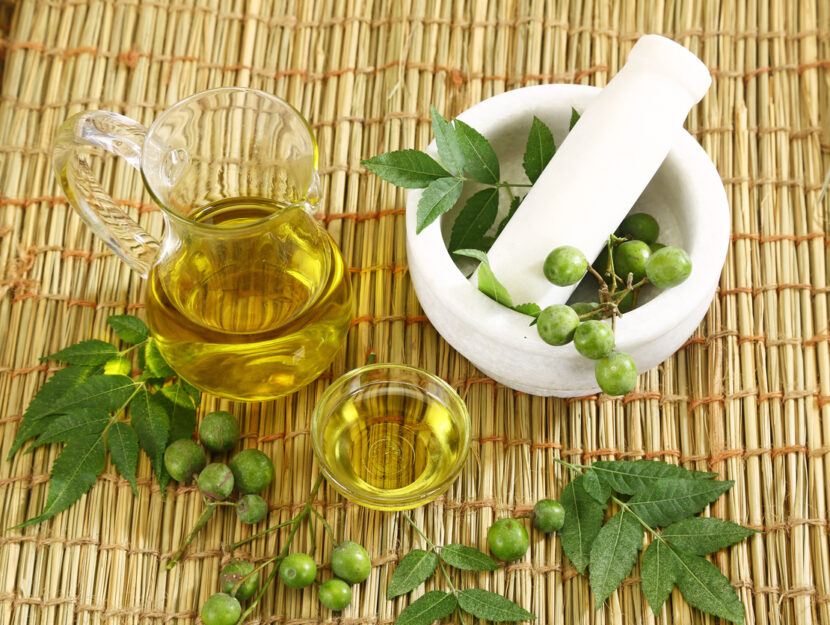 Olio di neem, l'alleato prezioso per pelle, cute e piante - Donna Moderna