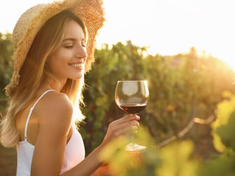 Tra viti e vigne: i panorami del vino più amati in Italia
