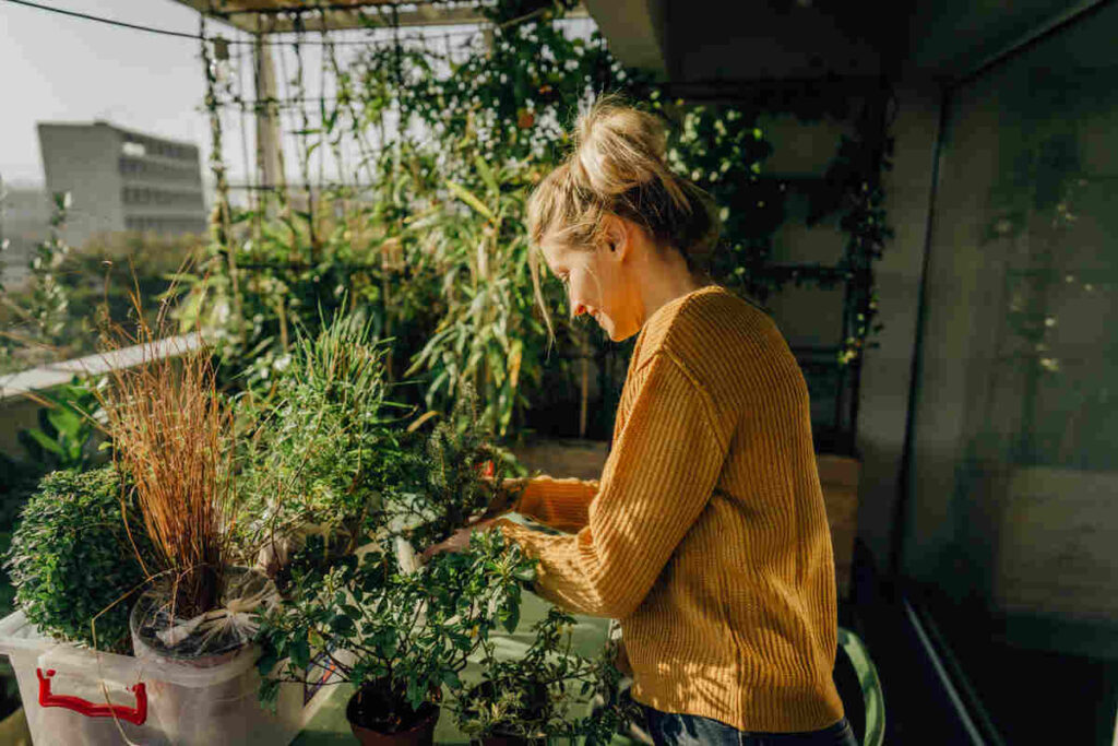Donna che sistema piante sul balcone