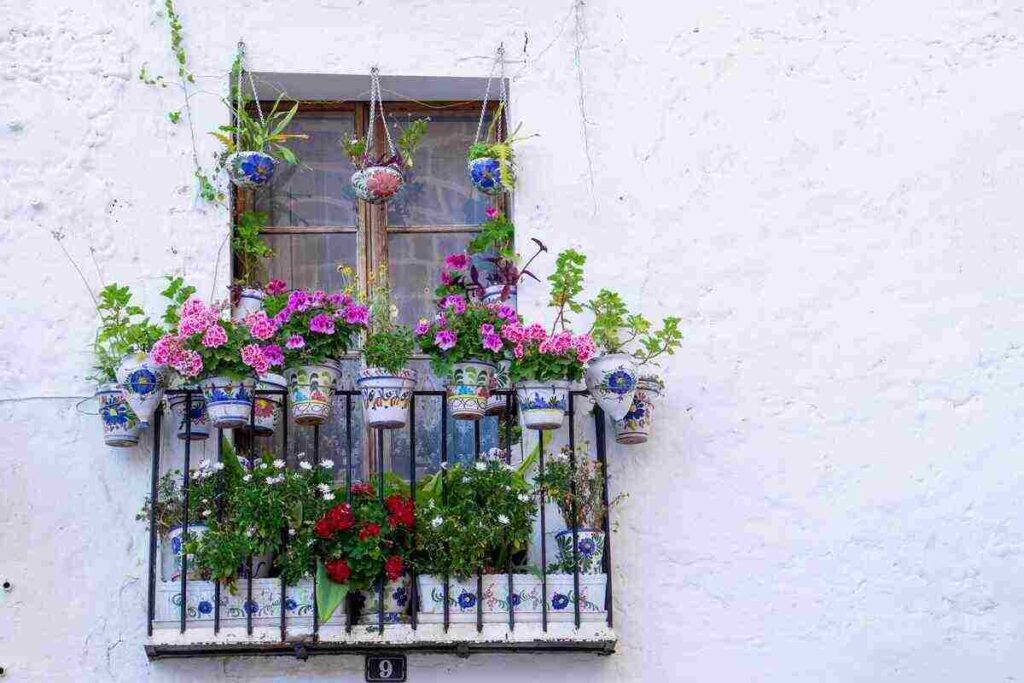 Piccolo balcone con piante colorate appese su ringhiera