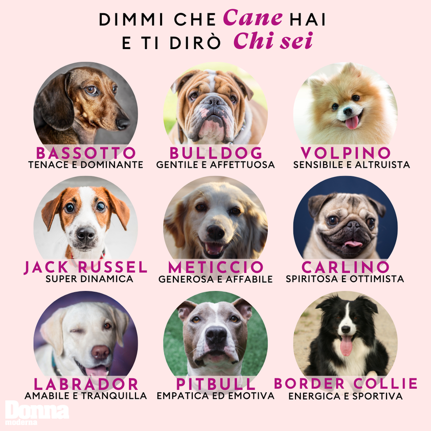 Rapallo quintuplica le multe per i padroni di cani che non ne