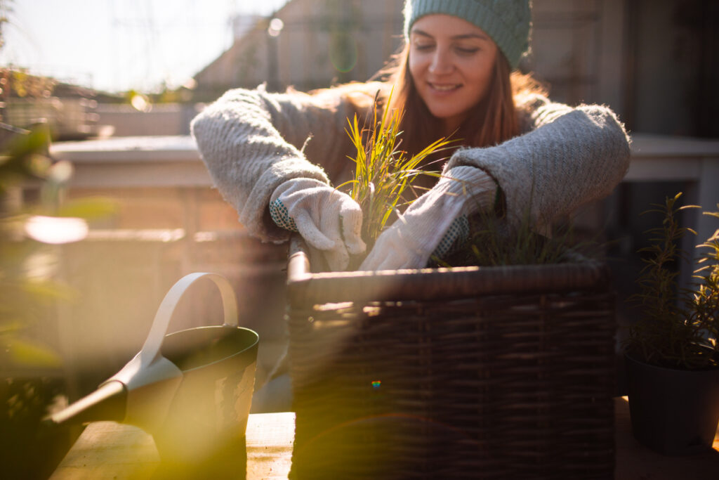 Fiori autunnali: 10 piante fiorite per il balcone a settembre