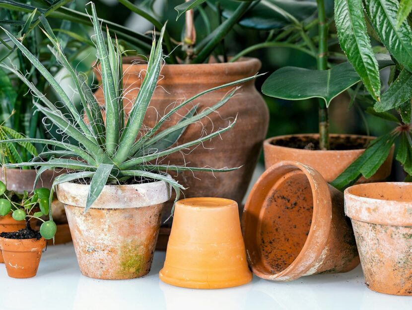 Come riciclare al meglio i vasi di terracotta che si sono rotti