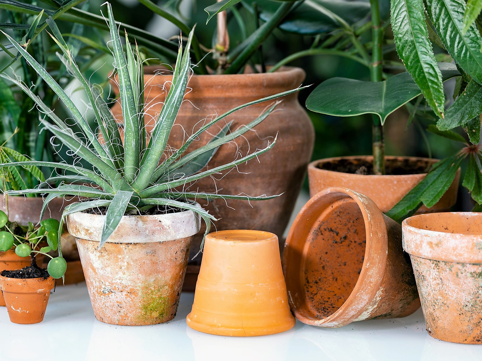 Vaso Cilindrico In Plastica Diana 15 Cm – Colore Terracotta, Altezza 11 Cm, Resistente Alle Intemperie, Per Interni Ed Esterni