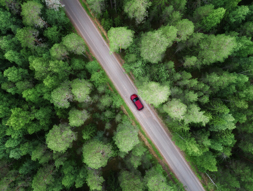 Bosco strada auto