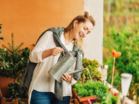 Piante in autunno: come prepararle per le stagioni fredde