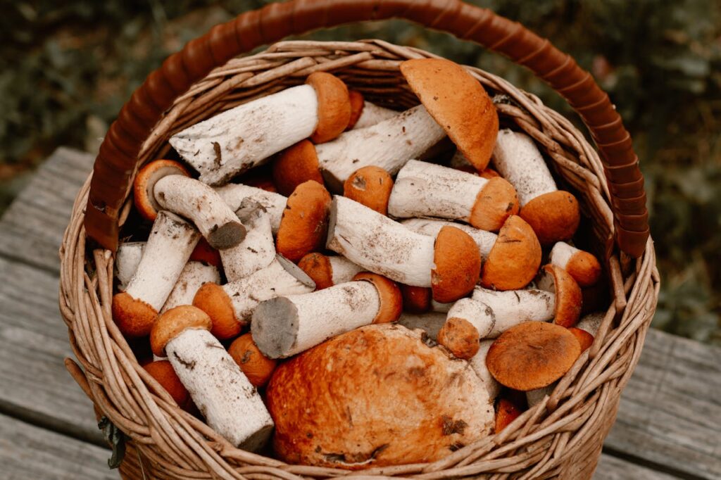 funghi nel cestino di vimini