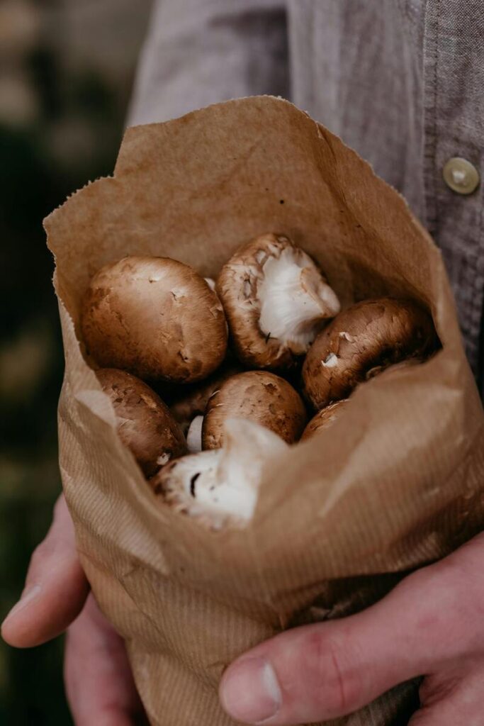 funghi porcini nel sacchetto