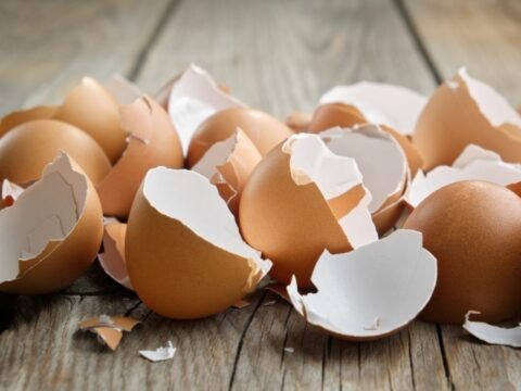 Non buttare i gusci delle uova: prova invece a riciclarli